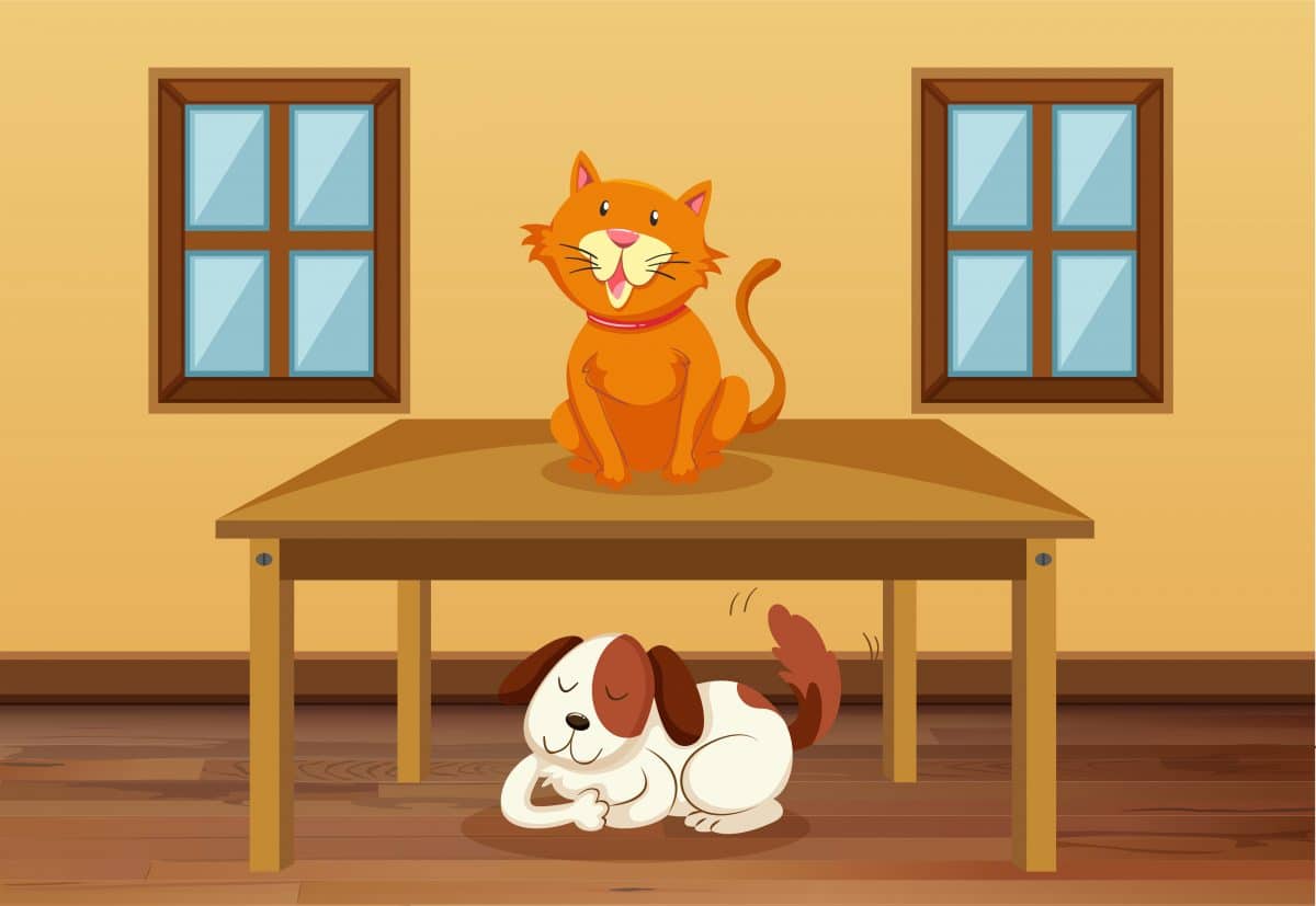 pets_in_uk